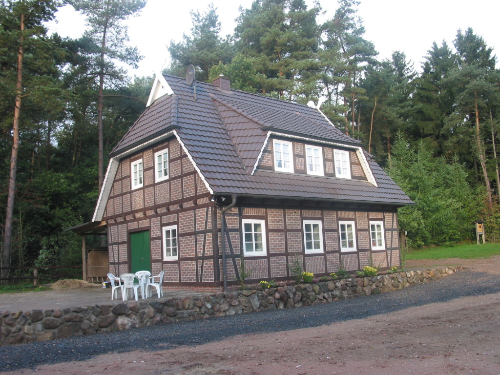 19. Waldblick Ansicht